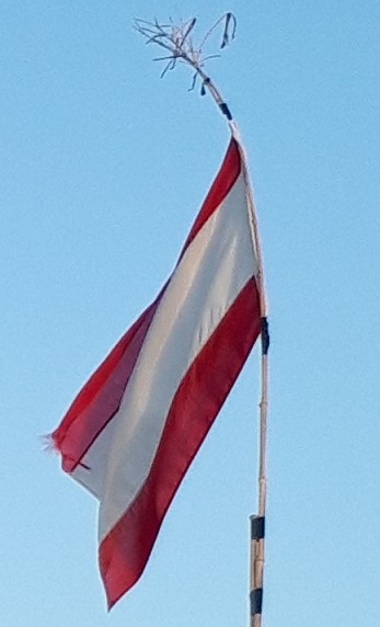 20210323_181120_80.jpg