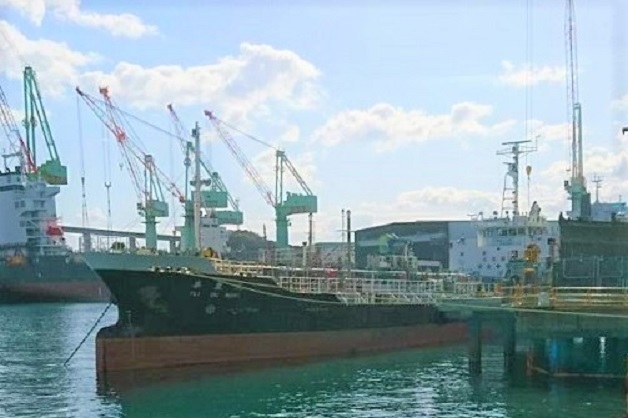 446f.jpg