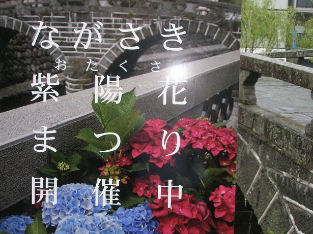 あじさいまつり.JPG