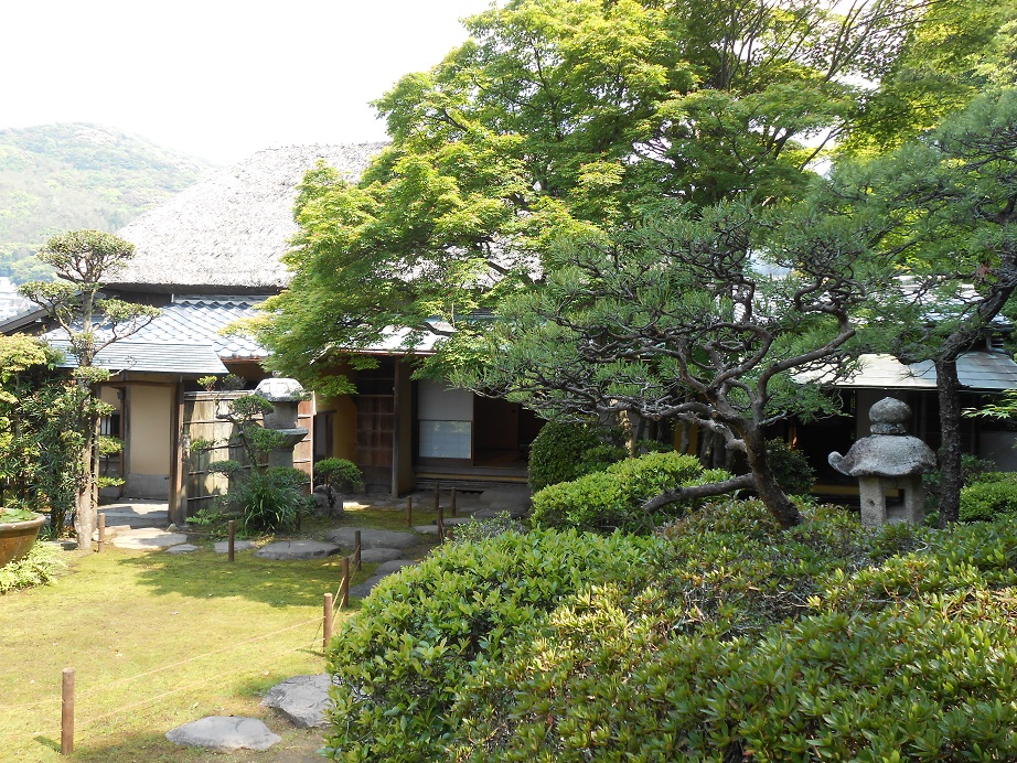 DSCN0263.JPG