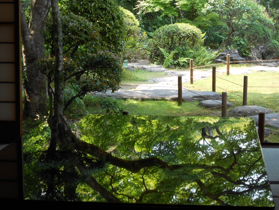DSCN0275.JPG