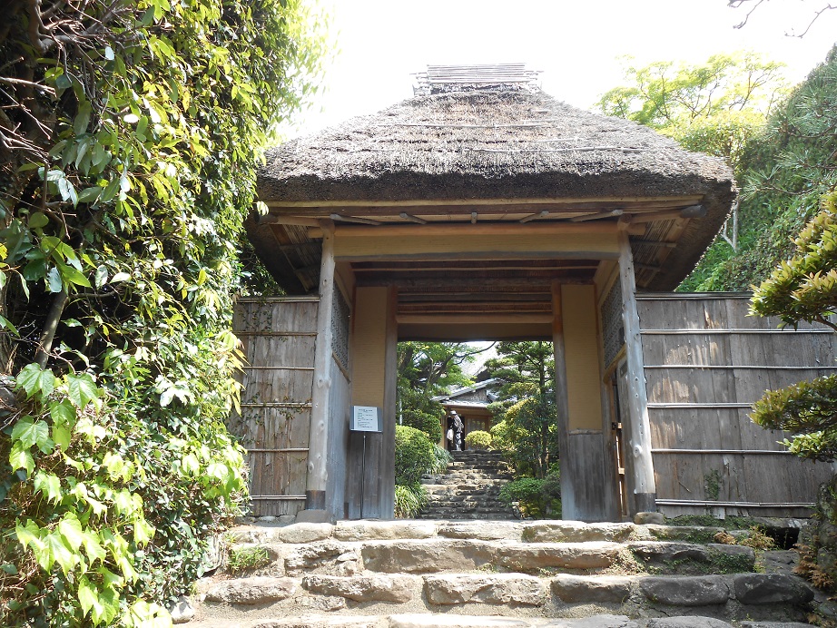 DSCN0288.JPG