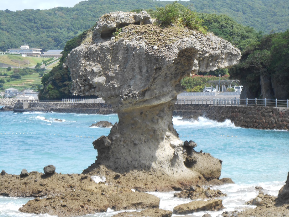 DSCN0315.JPG